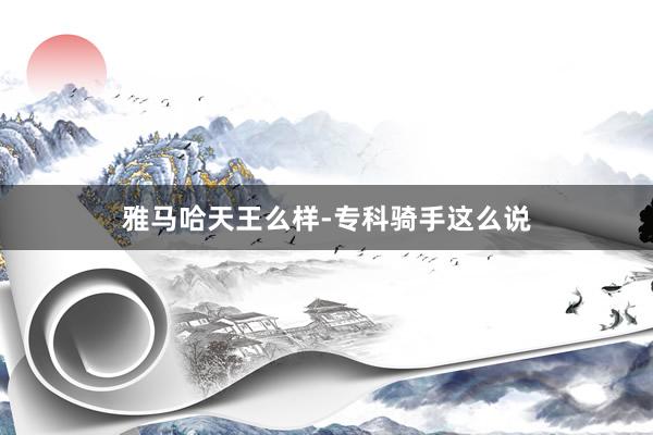 雅马哈天王么样-专科骑手这么说